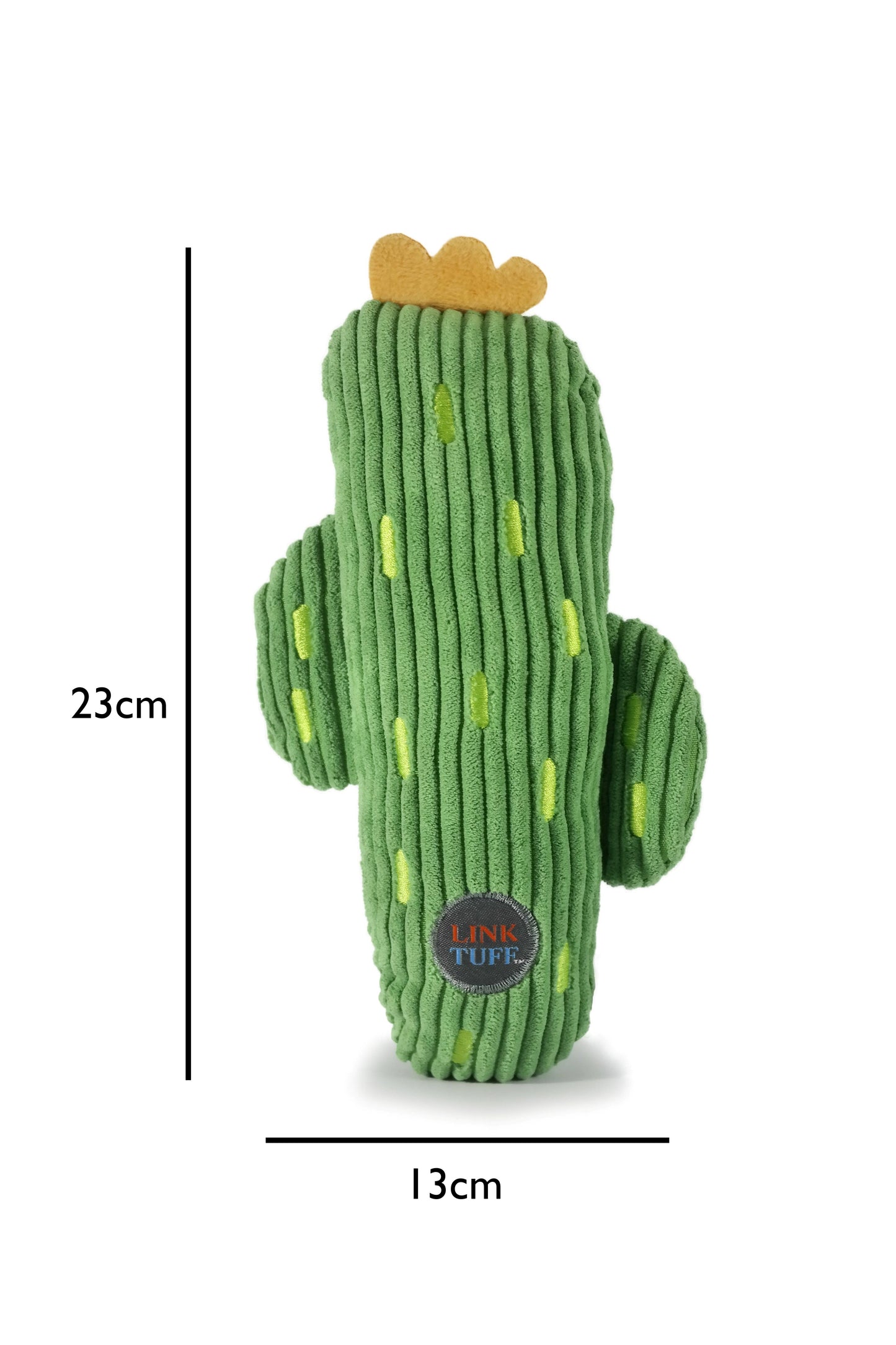 Cactus Squeak & Play