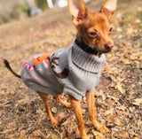 Reindeer Xmas jumper for dogs